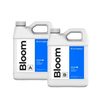Athena Bloom A + B 946 ml