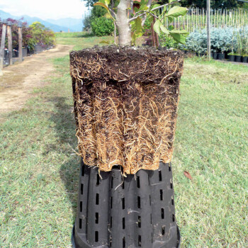 Plantenpot Ercole rond 2 L