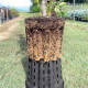 Plantenpot Ercole rond 2 L
