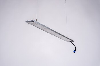 SANlight Stixx-serie LED-kweeklamp STIXX 5-120, 117W