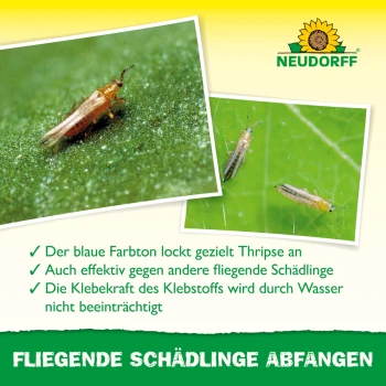 Neudorff Blauwe Stickers 8 x 13 cm, 10 stuks, tegen trips