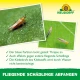 Neudorff Blauwe Stickers 8 x 13 cm, 10 stuks, tegen trips