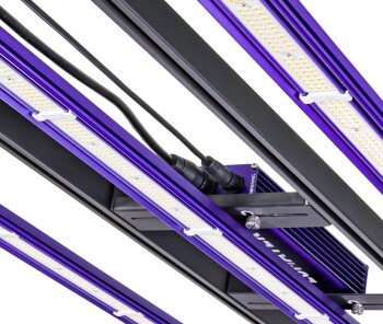 Tweedehands - Lumatek ZEUS PRO 3.1 300W LED kweeklamp Full Spectrum