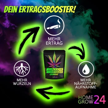 Homegrow24 Mycorrhiza-korrels 100 g