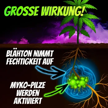 Homegrow24 Mycorrhiza-korrels 100 g