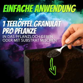 Homegrow24 Mycorrhiza-korrels 100 g