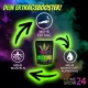 Homegrow24 Mycorrhiza-korrels 100 g