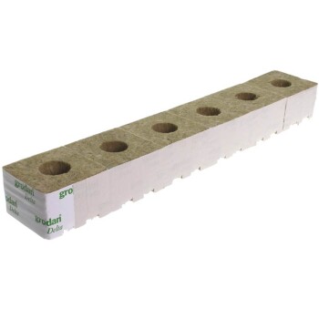 Grodan Steenwol blok gr. Gat 10X10X6,5cm 36 Stk.