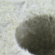 Grodan Steenwol blok klein gaatje 10x10x6,5cm 6 Stuks.