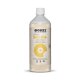 BBIOBIZZ Bio-Down - 100% Organische pH- Regulator 250ml, 500ml en 1 Liter