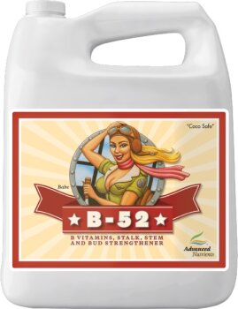 Advanced Nutrients B-52 Vitaminebooster 5 L
