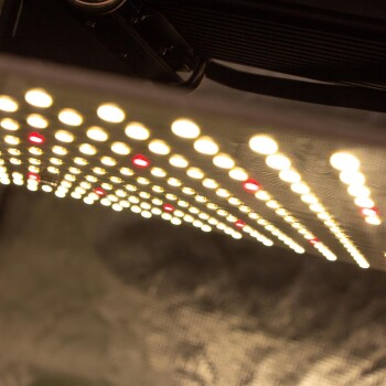 LUMii Black Blade LED Kweeklamp 200W Full Spectrum