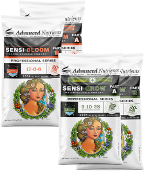 Advanced Nutrients Sensi Bloom Pro wasserlösliches...
